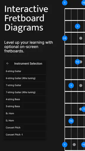 Solo - Fretboard Visualization
