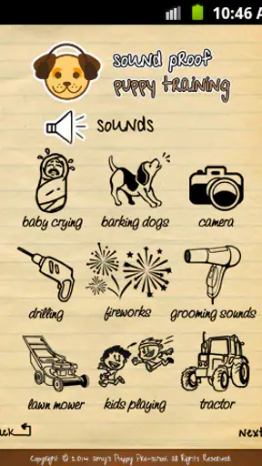 Sound Proof Puppy Training