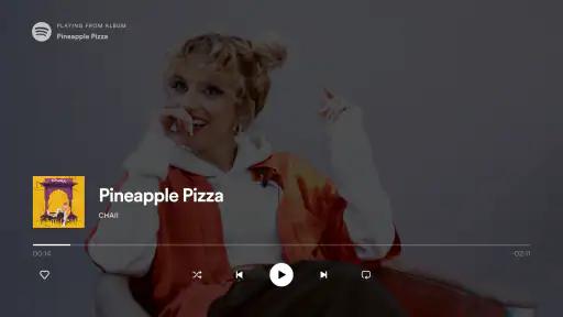 Spotify Music pour Android TV