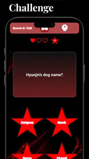 Stray Kids Challenge : SKZ