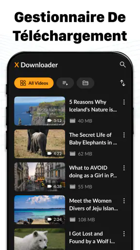 Téléchargeur de vidéos