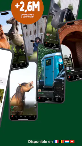 TROT | La super-app du cheval