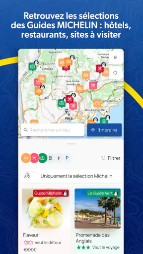 ViaMichelin gps, carte, trafic