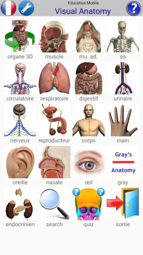 Visual Anatomy 2