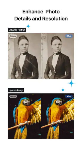 VN Éditeur vidéo IA