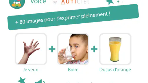 Voice - AMIKEO APPS