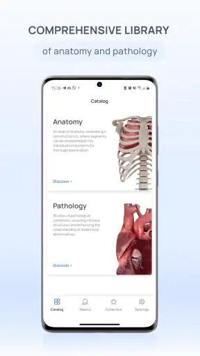 VOKA 3D Anatomie et Pathologie
