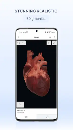 VOKA 3D Anatomie et Pathologie