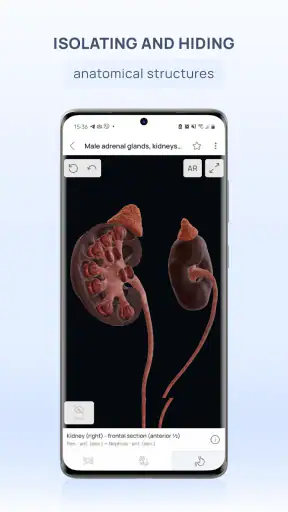 VOKA 3D Anatomie et Pathologie