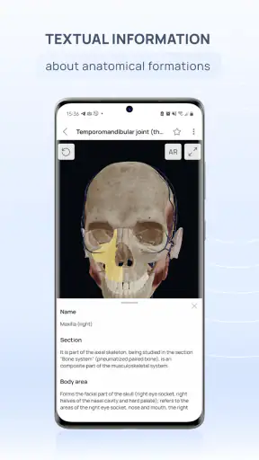 VOKA 3D Anatomie et Pathologie