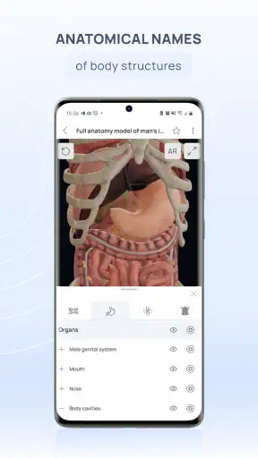 VOKA 3D Anatomie et Pathologie