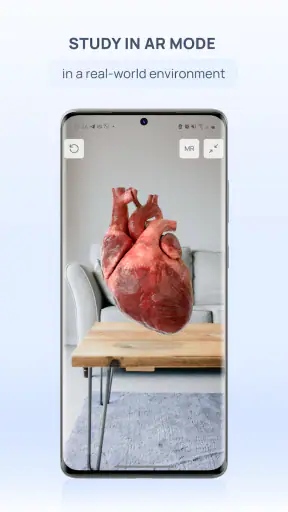 VOKA 3D Anatomie et Pathologie