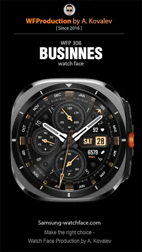 WFP 308 Business watch face
