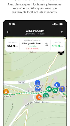 Wise Pilgrim Camino Francés