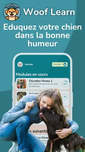 WoofLearn : Éducation du Chien