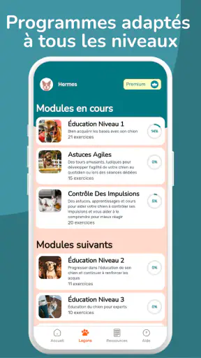 WoofLearn : Éducation du Chien