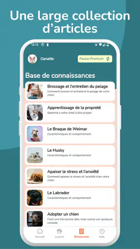 WoofLearn : Éducation du Chien