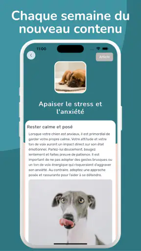 WoofLearn : Éducation du Chien