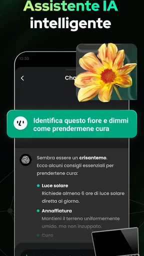Open Chat - App di bot AI