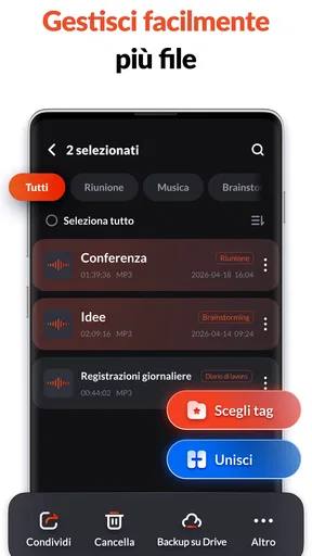 Registratore Vocale & Audio