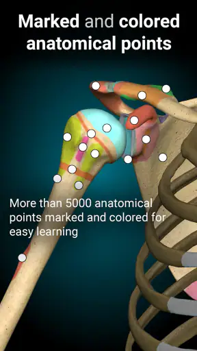 Anatomy Learning - Anatomía 3D