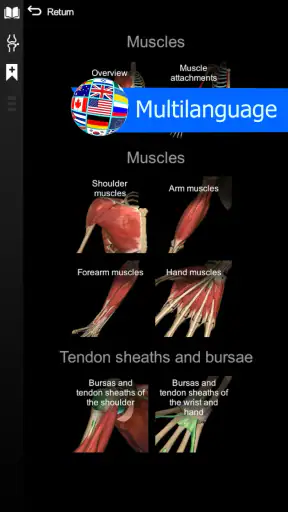 Anatomy Learning - Anatomía 3D
