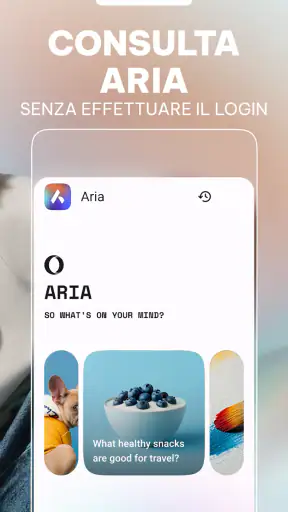 Browser Opera con VPN