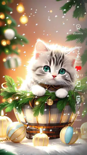 Cute Cat Wallpaper HD