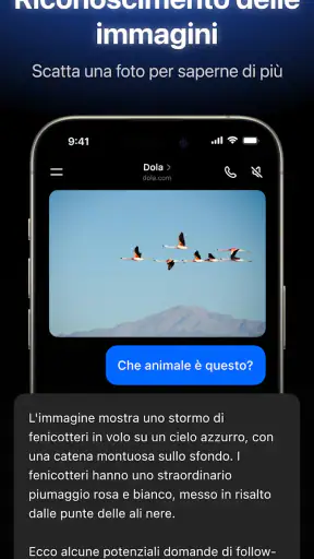 Dola: l'assistente IA