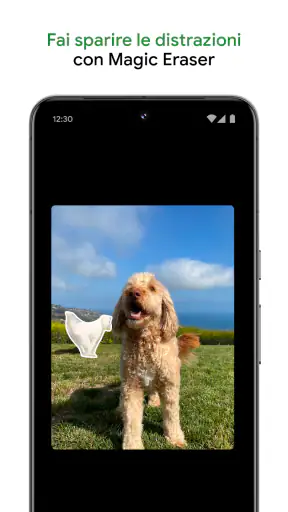 Google Foto