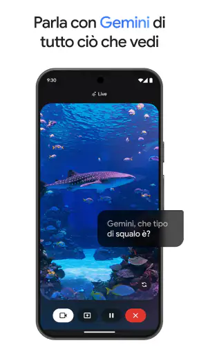 Google Gemini