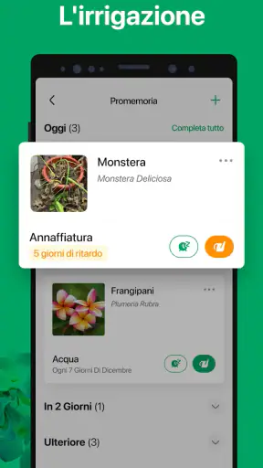 PictureThis Identificar Planta