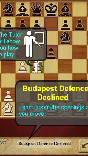 Scacchi (Chess)