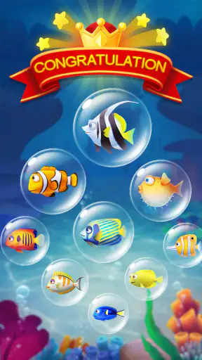 Solitario Spider Fish