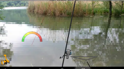TrueFish