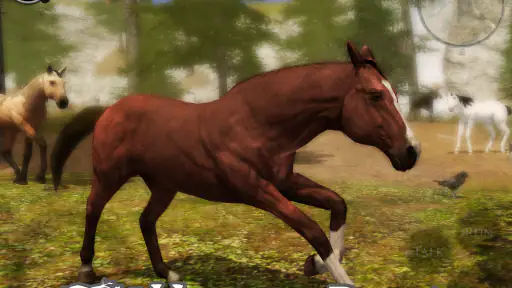 Ultimate Horse Simulator 2