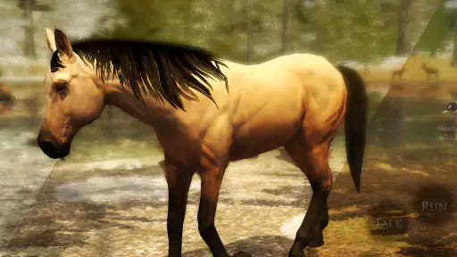 Ultimate Horse Simulator 2