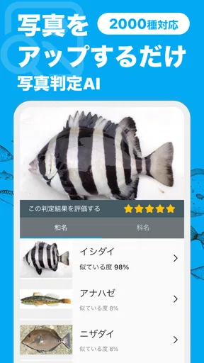 魚みっけ