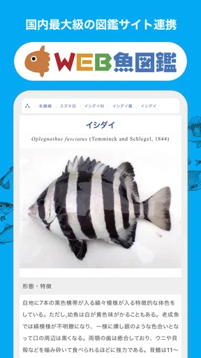 魚みっけ
