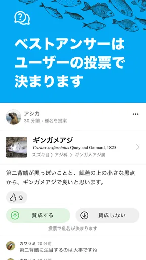 魚みっけ