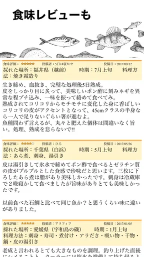 魚みっけ