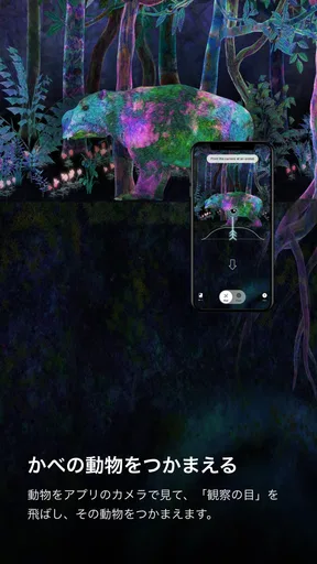 PlanetsTokyo/CollectingForest