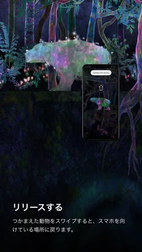 PlanetsTokyo/CollectingForest