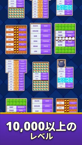 MomoLingo: 英語やその他の言語の勉強