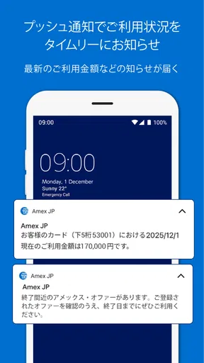 Amex Japan