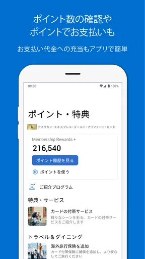 Amex Japan