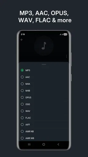 Audio Converter (MP3 AAC OPUS)