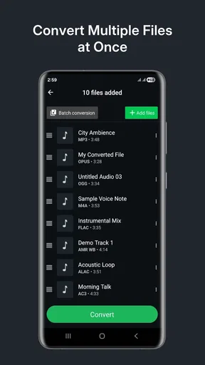 Audio Converter (MP3 AAC OPUS)
