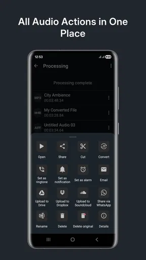 Audio Converter (MP3 AAC OPUS)