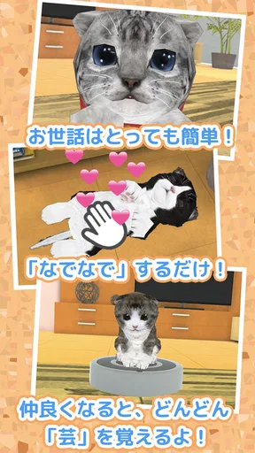 ねこ育成ゲーム - 子猫をのんびり育てる癒しの猫育成ゲーム